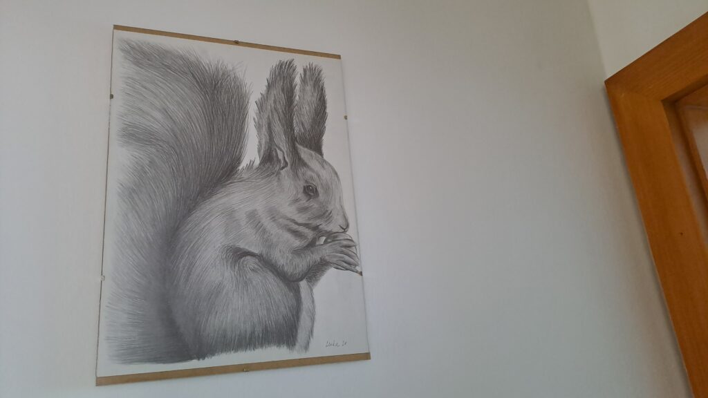 Zákaznické foto kresba tužkou Veverka - LeCha.cz Handmade and Home Decor