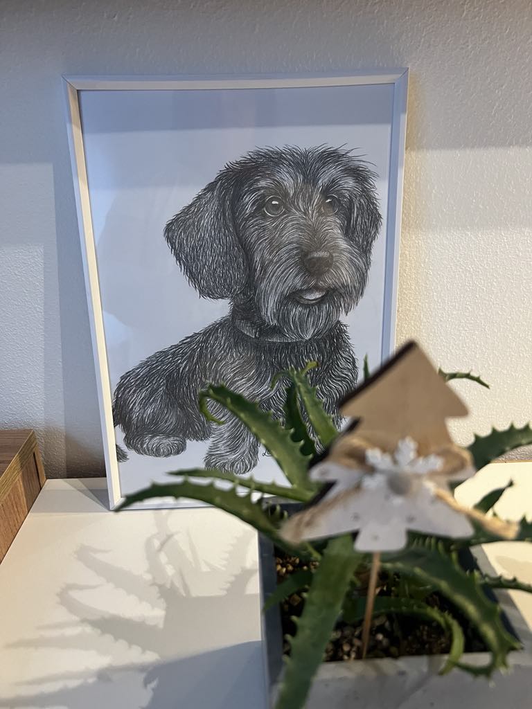 Zákaznické foto kresba tužkou Jezevčík - LeCha.cz Handmade and Home Decor